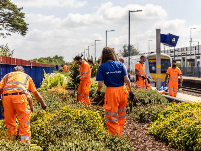 Diversity & Inclusion